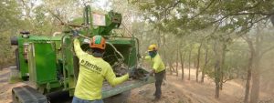 TreePro Sonoma Professional Tree Care Services