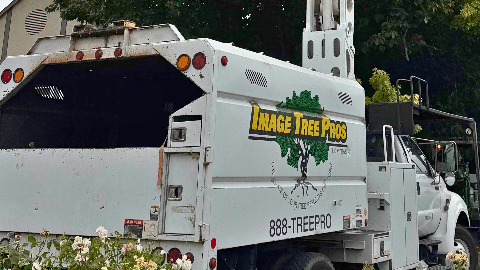 Image Tree Pros truck closeup